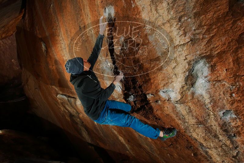 Bouldering in Hueco Tanks on 01/08/2020 with Blue Lizard Climbing and Yoga
Filename: SRM_20200108_1552210.jpg
Aperture: f/5.6
Shutter Speed: 1/250
Body: Canon EOS-1D Mark II
Lens: Canon EF 16-35mm f/2.8 L