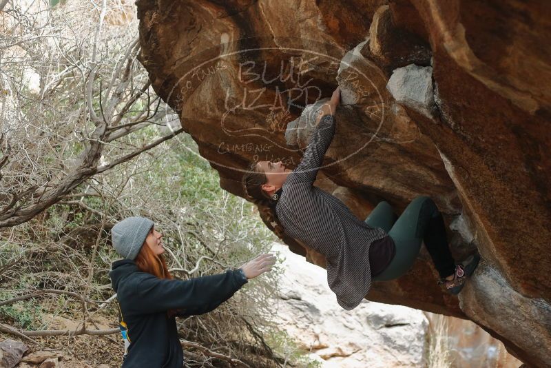 Bouldering in Hueco Tanks on 01/08/2020 with Blue Lizard Climbing and Yoga
Filename: SRM_20200108_1632200.jpg
Aperture: f/2.8
Shutter Speed: 1/250
Body: Canon EOS-1D Mark II
Lens: Canon EF 50mm f/1.8 II