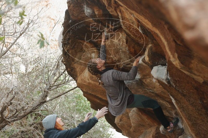 Bouldering in Hueco Tanks on 01/08/2020 with Blue Lizard Climbing and Yoga
Filename: SRM_20200108_1632320.jpg
Aperture: f/2.8
Shutter Speed: 1/250
Body: Canon EOS-1D Mark II
Lens: Canon EF 50mm f/1.8 II