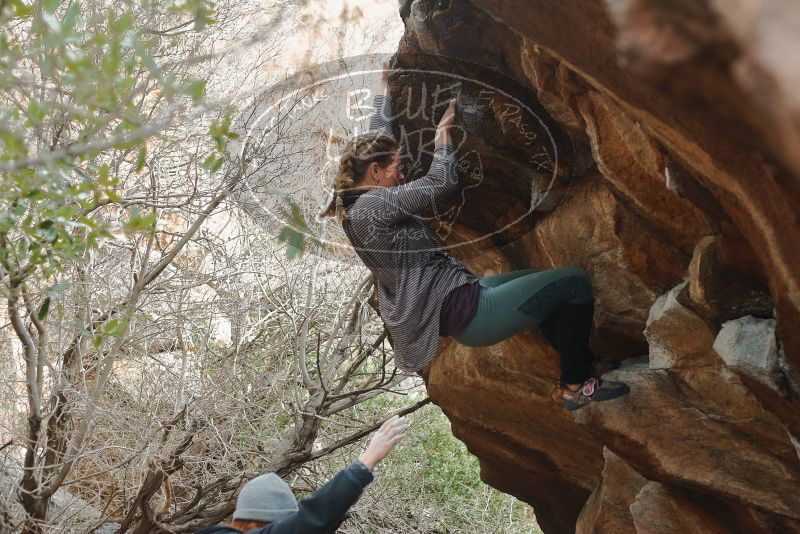 Bouldering in Hueco Tanks on 01/08/2020 with Blue Lizard Climbing and Yoga
Filename: SRM_20200108_1632400.jpg
Aperture: f/3.2
Shutter Speed: 1/250
Body: Canon EOS-1D Mark II
Lens: Canon EF 50mm f/1.8 II