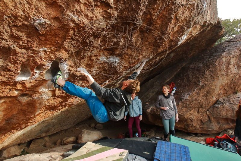 Bouldering in Hueco Tanks on 01/08/2020 with Blue Lizard Climbing and Yoga

Filename: SRM_20200108_1658130.jpg
Aperture: f/5.6
Shutter Speed: 1/320
Body: Canon EOS-1D Mark II
Lens: Canon EF 16-35mm f/2.8 L
