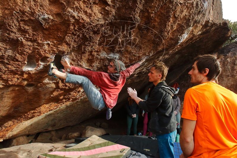 Bouldering in Hueco Tanks on 01/08/2020 with Blue Lizard Climbing and Yoga

Filename: SRM_20200108_1659320.jpg
Aperture: f/6.3
Shutter Speed: 1/320
Body: Canon EOS-1D Mark II
Lens: Canon EF 16-35mm f/2.8 L