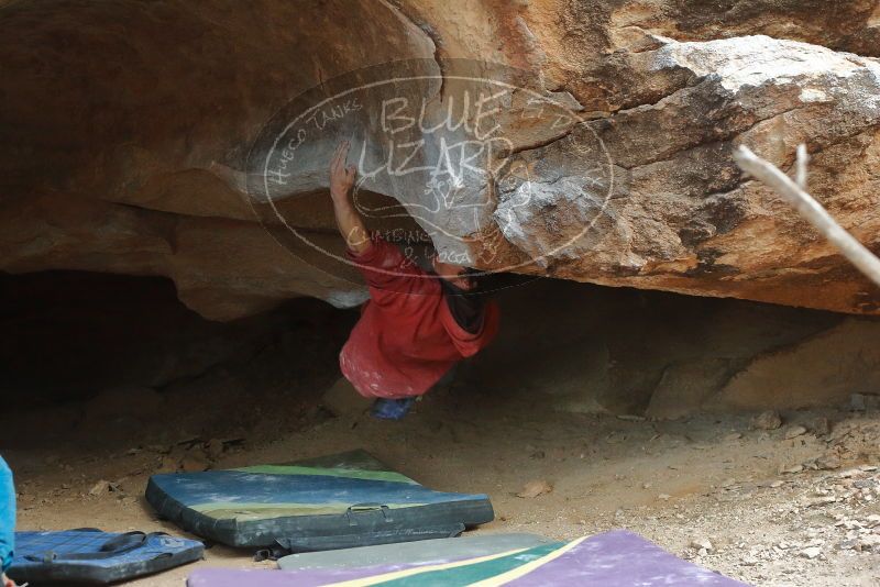 Bouldering in Hueco Tanks on 01/08/2020 with Blue Lizard Climbing and Yoga
Filename: SRM_20200108_1729510.jpg
Aperture: f/4.0
Shutter Speed: 1/160
Body: Canon EOS-1D Mark II
Lens: Canon EF 50mm f/1.8 II