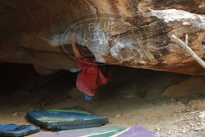Bouldering in Hueco Tanks on 01/08/2020 with Blue Lizard Climbing and Yoga

Filename: SRM_20200108_1729511.jpg
Aperture: f/4.0
Shutter Speed: 1/160
Body: Canon EOS-1D Mark II
Lens: Canon EF 50mm f/1.8 II