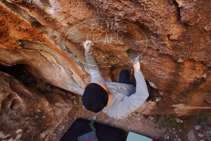 Bouldering in Hueco Tanks on 01/12/2020 with Blue Lizard Climbing and Yoga
Filename: SRM_20200112_1210110.jpg
Aperture: f/4.5
Shutter Speed: 1/250
Body: Canon EOS-1D Mark II
Lens: Canon EF 16-35mm f/2.8 L