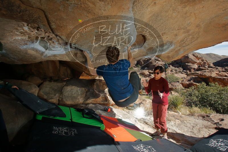 Bouldering in Hueco Tanks on 01/12/2020 with Blue Lizard Climbing and Yoga
Filename: SRM_20200112_1413200.jpg
Aperture: f/8.0
Shutter Speed: 1/250
Body: Canon EOS-1D Mark II
Lens: Canon EF 16-35mm f/2.8 L