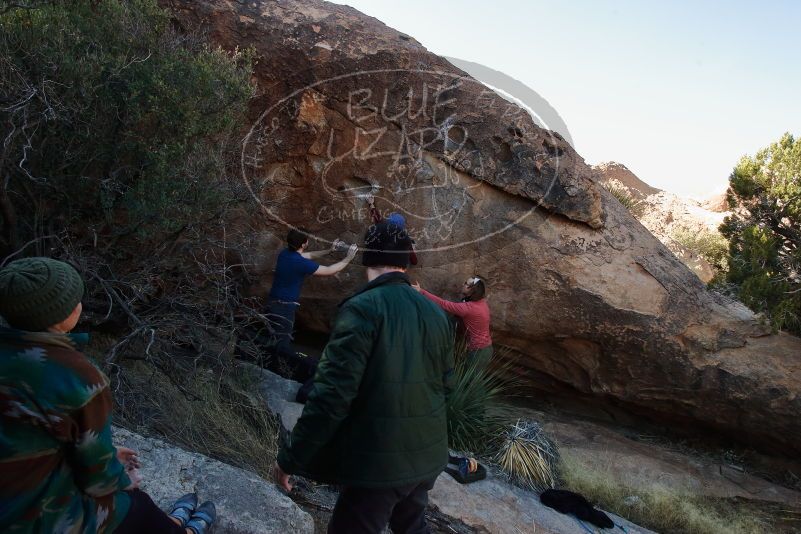 

Filename: SRM_20200112_1605220.jpg
Aperture: f/8.0
Shutter Speed: 1/250
Body: Canon EOS-1D Mark II
Lens: Canon EF 16-35mm f/2.8 L