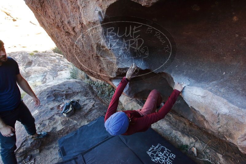 Bouldering in Hueco Tanks on 01/12/2020 with Blue Lizard Climbing and Yoga
Filename: SRM_20200112_1700440.jpg
Aperture: f/5.0
Shutter Speed: 1/250
Body: Canon EOS-1D Mark II
Lens: Canon EF 16-35mm f/2.8 L