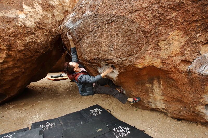 Bouldering in Hueco Tanks on 01/16/2020 with Blue Lizard Climbing and Yoga
Filename: SRM_20200116_1030130.jpg
Aperture: f/4.0
Shutter Speed: 1/320
Body: Canon EOS-1D Mark II
Lens: Canon EF 16-35mm f/2.8 L