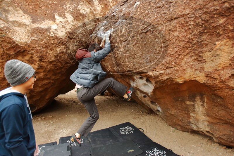 Bouldering in Hueco Tanks on 01/16/2020 with Blue Lizard Climbing and Yoga

Filename: SRM_20200116_1030160.jpg
Aperture: f/4.0
Shutter Speed: 1/320
Body: Canon EOS-1D Mark II
Lens: Canon EF 16-35mm f/2.8 L