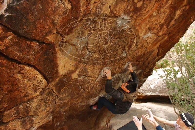 Bouldering in Hueco Tanks on 01/16/2020 with Blue Lizard Climbing and Yoga
Filename: SRM_20200116_1052021.jpg
Aperture: f/4.5
Shutter Speed: 1/250
Body: Canon EOS-1D Mark II
Lens: Canon EF 16-35mm f/2.8 L