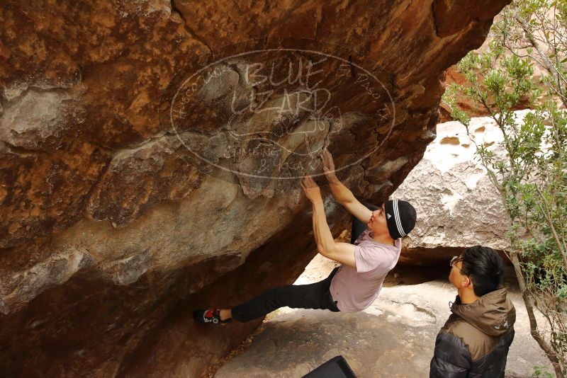 Bouldering in Hueco Tanks on 01/16/2020 with Blue Lizard Climbing and Yoga

Filename: SRM_20200116_1054570.jpg
Aperture: f/5.0
Shutter Speed: 1/250
Body: Canon EOS-1D Mark II
Lens: Canon EF 16-35mm f/2.8 L