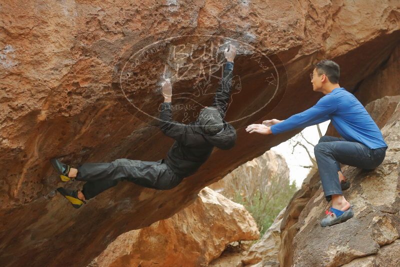 Bouldering in Hueco Tanks on 01/16/2020 with Blue Lizard Climbing and Yoga

Filename: SRM_20200116_1131120.jpg
Aperture: f/3.5
Shutter Speed: 1/400
Body: Canon EOS-1D Mark II
Lens: Canon EF 50mm f/1.8 II