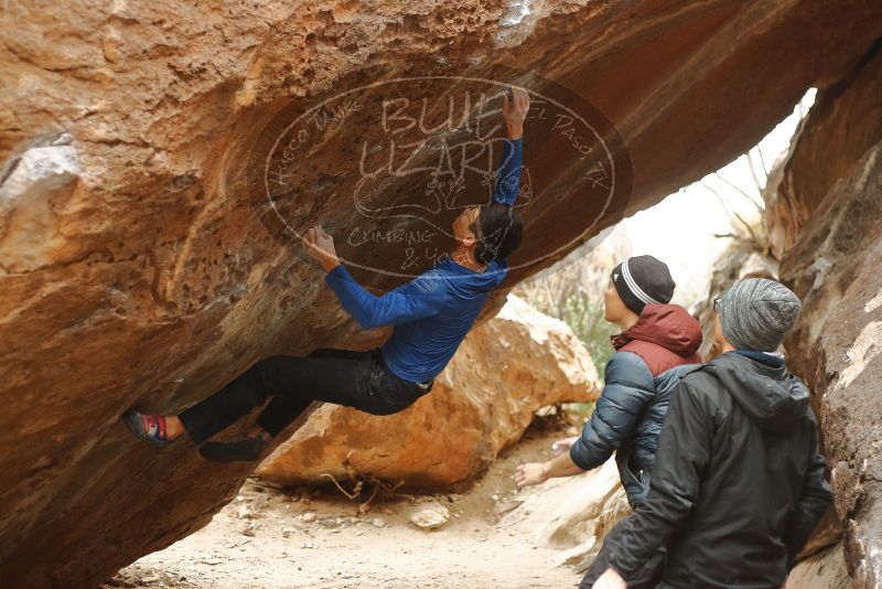 Bouldering in Hueco Tanks on 01/16/2020 with Blue Lizard Climbing and Yoga

Filename: SRM_20200116_1141520.jpg
Aperture: f/2.8
Shutter Speed: 1/320
Body: Canon EOS-1D Mark II
Lens: Canon EF 50mm f/1.8 II