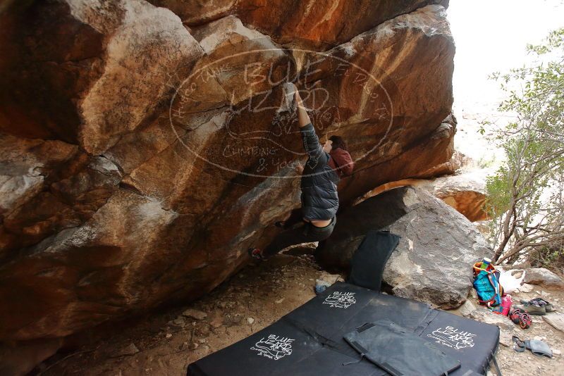 Bouldering in Hueco Tanks on 01/16/2020 with Blue Lizard Climbing and Yoga

Filename: SRM_20200116_1329520.jpg
Aperture: f/4.0
Shutter Speed: 1/250
Body: Canon EOS-1D Mark II
Lens: Canon EF 16-35mm f/2.8 L