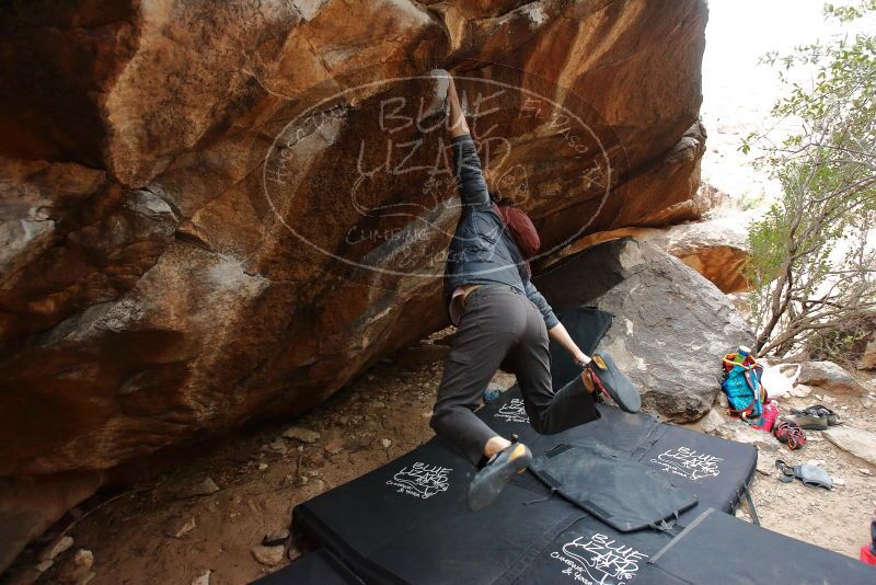 Bouldering in Hueco Tanks on 01/16/2020 with Blue Lizard Climbing and Yoga
Filename: SRM_20200116_1329521.jpg
Aperture: f/4.0
Shutter Speed: 1/250
Body: Canon EOS-1D Mark II
Lens: Canon EF 16-35mm f/2.8 L