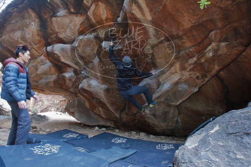 Bouldering in Hueco Tanks on 01/16/2020 with Blue Lizard Climbing and Yoga

Filename: SRM_20200116_1333350.jpg
Aperture: f/4.0
Shutter Speed: 1/250
Body: Canon EOS-1D Mark II
Lens: Canon EF 16-35mm f/2.8 L