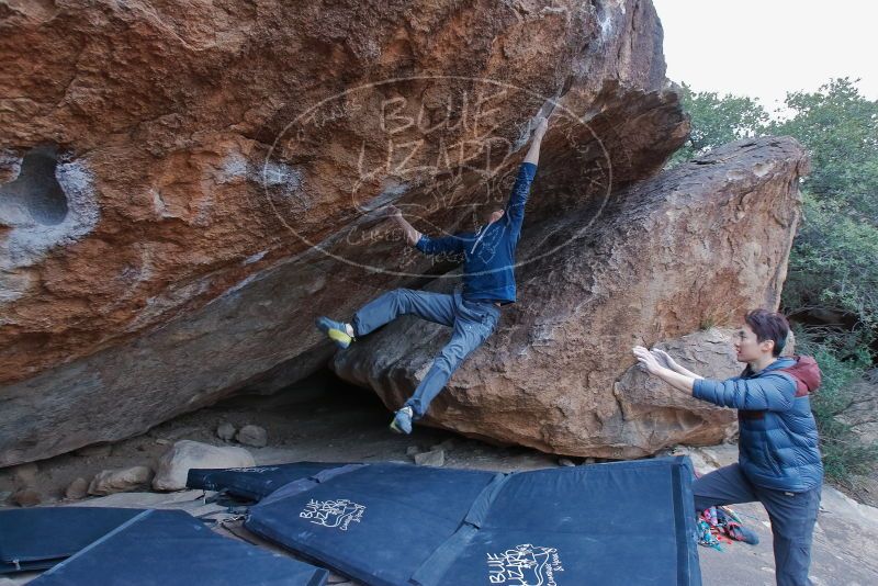 Bouldering in Hueco Tanks on 01/16/2020 with Blue Lizard Climbing and Yoga
Filename: SRM_20200116_1347441.jpg
Aperture: f/5.6
Shutter Speed: 1/250
Body: Canon EOS-1D Mark II
Lens: Canon EF 16-35mm f/2.8 L