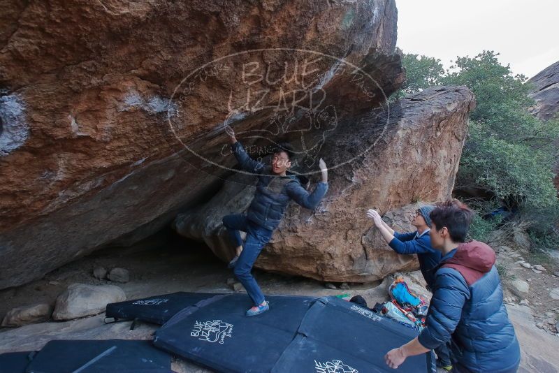 Bouldering in Hueco Tanks on 01/16/2020 with Blue Lizard Climbing and Yoga

Filename: SRM_20200116_1353311.jpg
Aperture: f/8.0
Shutter Speed: 1/320
Body: Canon EOS-1D Mark II
Lens: Canon EF 16-35mm f/2.8 L
