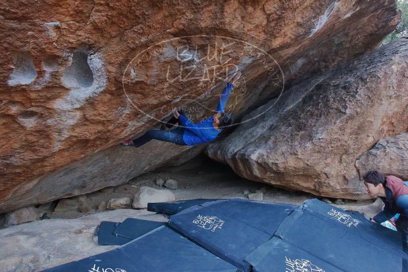 Bouldering in Hueco Tanks on 01/16/2020 with Blue Lizard Climbing and Yoga
Filename: SRM_20200116_1355280.jpg
Aperture: f/5.6
Shutter Speed: 1/320
Body: Canon EOS-1D Mark II
Lens: Canon EF 16-35mm f/2.8 L
