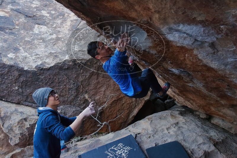 Bouldering in Hueco Tanks on 01/16/2020 with Blue Lizard Climbing and Yoga

Filename: SRM_20200116_1404360.jpg
Aperture: f/7.1
Shutter Speed: 1/320
Body: Canon EOS-1D Mark II
Lens: Canon EF 16-35mm f/2.8 L