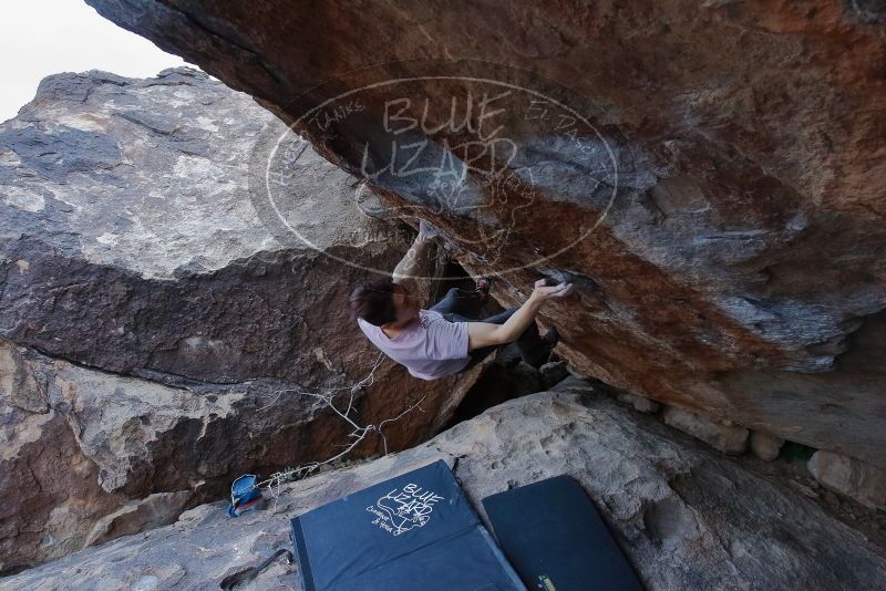 Bouldering in Hueco Tanks on 01/16/2020 with Blue Lizard Climbing and Yoga
Filename: SRM_20200116_1407150.jpg
Aperture: f/7.1
Shutter Speed: 1/320
Body: Canon EOS-1D Mark II
Lens: Canon EF 16-35mm f/2.8 L