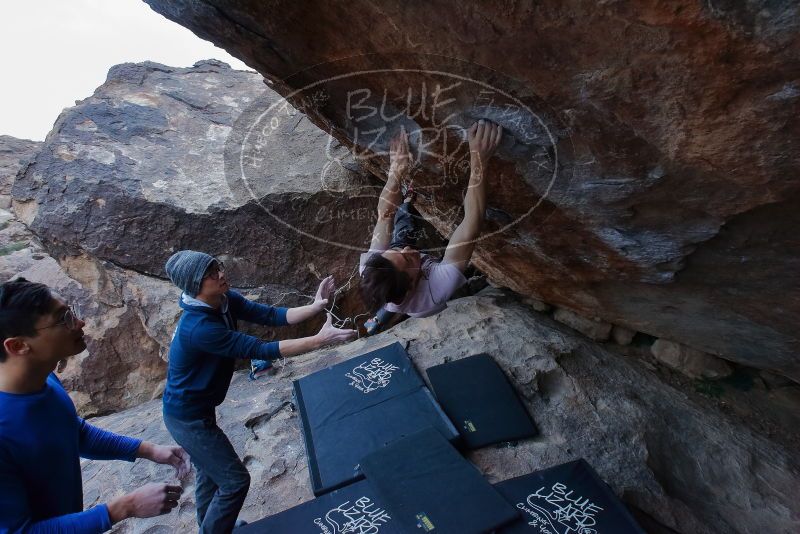 Bouldering in Hueco Tanks on 01/16/2020 with Blue Lizard Climbing and Yoga
Filename: SRM_20200116_1407240.jpg
Aperture: f/7.1
Shutter Speed: 1/320
Body: Canon EOS-1D Mark II
Lens: Canon EF 16-35mm f/2.8 L