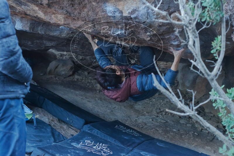 Bouldering in Hueco Tanks on 01/16/2020 with Blue Lizard Climbing and Yoga
Filename: SRM_20200116_1605160.jpg
Aperture: f/4.0
Shutter Speed: 1/250
Body: Canon EOS-1D Mark II
Lens: Canon EF 50mm f/1.8 II
