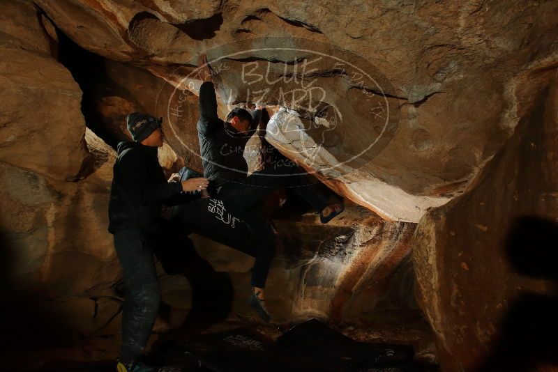 

Filename: SRM_20200116_1740160.jpg
Aperture: f/8.0
Shutter Speed: 1/250
Body: Canon EOS-1D Mark II
Lens: Canon EF 16-35mm f/2.8 L