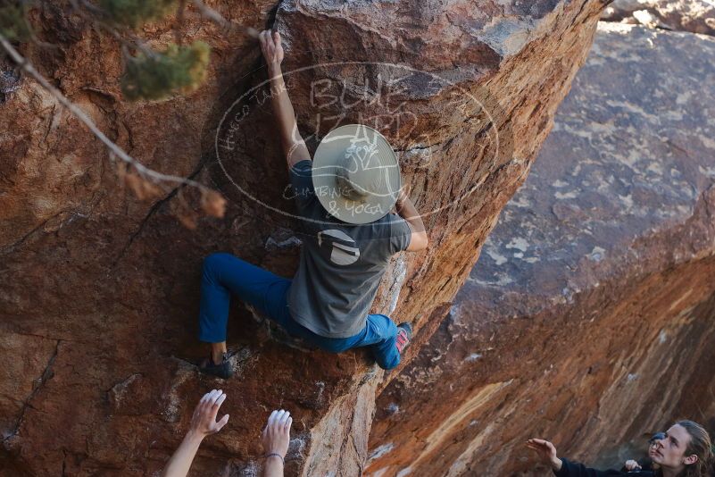 

Filename: SRM_20200118_1108330.jpg
Aperture: f/4.5
Shutter Speed: 1/250
Body: Canon EOS-1D Mark II
Lens: Canon EF 50mm f/1.8 II