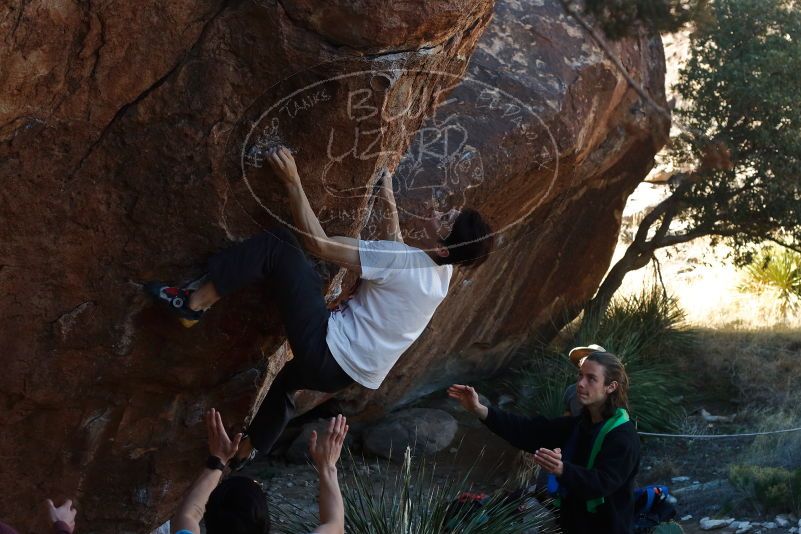 

Filename: SRM_20200118_1112180.jpg
Aperture: f/5.6
Shutter Speed: 1/250
Body: Canon EOS-1D Mark II
Lens: Canon EF 50mm f/1.8 II