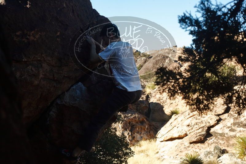 

Filename: SRM_20200118_1112360.jpg
Aperture: f/10.0
Shutter Speed: 1/250
Body: Canon EOS-1D Mark II
Lens: Canon EF 50mm f/1.8 II