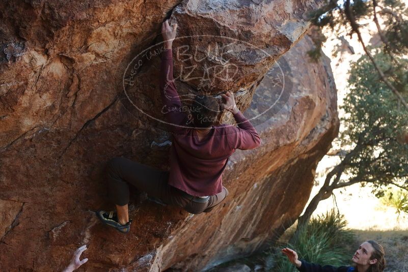 

Filename: SRM_20200118_1114020.jpg
Aperture: f/4.5
Shutter Speed: 1/250
Body: Canon EOS-1D Mark II
Lens: Canon EF 50mm f/1.8 II