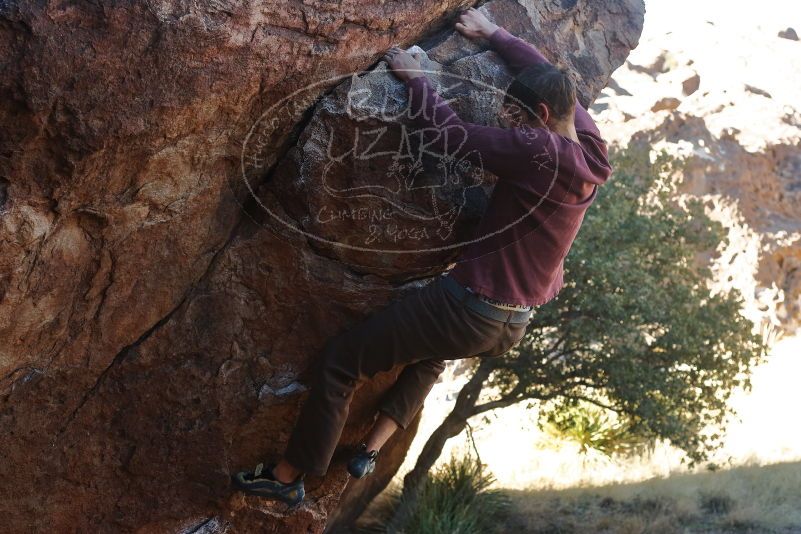 

Filename: SRM_20200118_1114190.jpg
Aperture: f/4.5
Shutter Speed: 1/250
Body: Canon EOS-1D Mark II
Lens: Canon EF 50mm f/1.8 II