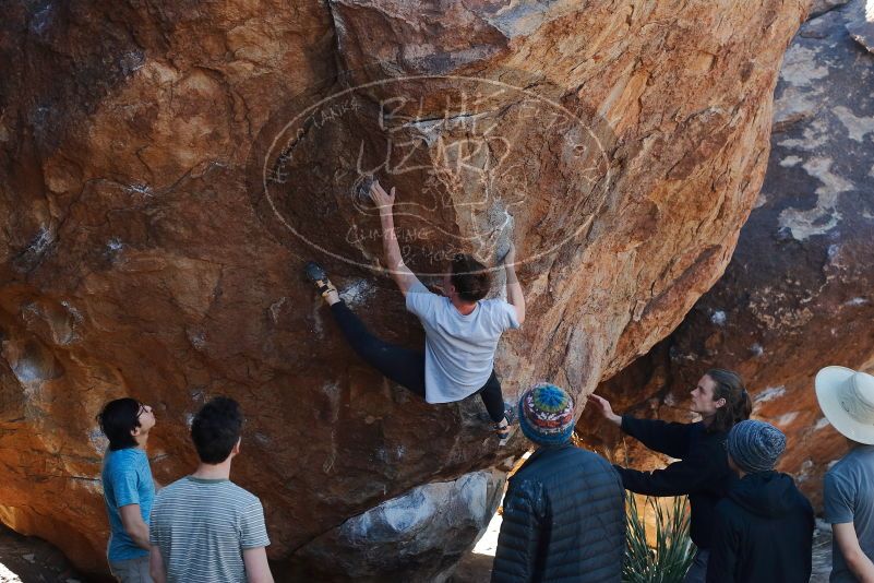 

Filename: SRM_20200118_1115430.jpg
Aperture: f/5.0
Shutter Speed: 1/250
Body: Canon EOS-1D Mark II
Lens: Canon EF 50mm f/1.8 II