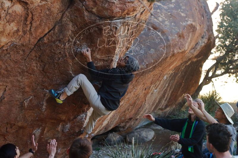 

Filename: SRM_20200118_1117080.jpg
Aperture: f/4.0
Shutter Speed: 1/250
Body: Canon EOS-1D Mark II
Lens: Canon EF 50mm f/1.8 II