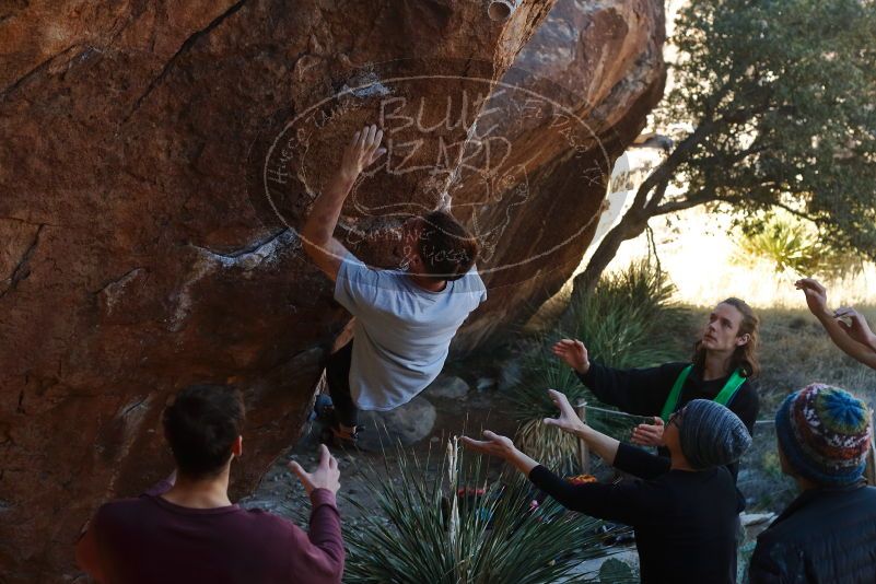 

Filename: SRM_20200118_1122040.jpg
Aperture: f/5.0
Shutter Speed: 1/250
Body: Canon EOS-1D Mark II
Lens: Canon EF 50mm f/1.8 II