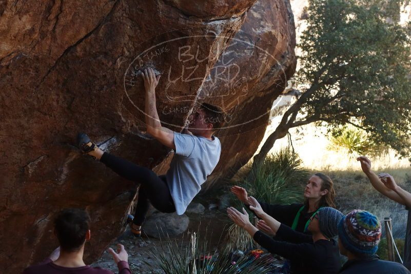 

Filename: SRM_20200118_1122100.jpg
Aperture: f/5.0
Shutter Speed: 1/250
Body: Canon EOS-1D Mark II
Lens: Canon EF 50mm f/1.8 II