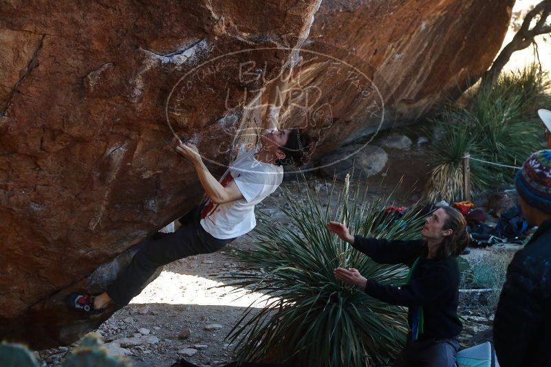 

Filename: SRM_20200118_1123340.jpg
Aperture: f/4.5
Shutter Speed: 1/250
Body: Canon EOS-1D Mark II
Lens: Canon EF 50mm f/1.8 II