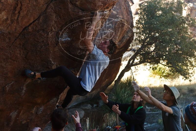 

Filename: SRM_20200118_1125120.jpg
Aperture: f/5.6
Shutter Speed: 1/250
Body: Canon EOS-1D Mark II
Lens: Canon EF 50mm f/1.8 II