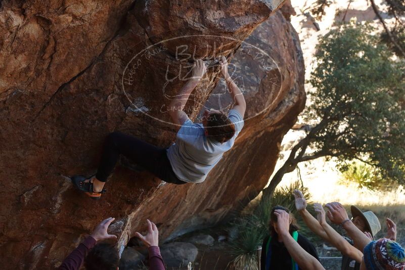 

Filename: SRM_20200118_1125210.jpg
Aperture: f/5.0
Shutter Speed: 1/250
Body: Canon EOS-1D Mark II
Lens: Canon EF 50mm f/1.8 II