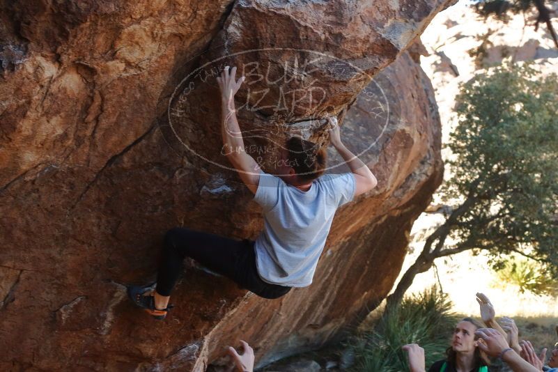 

Filename: SRM_20200118_1125270.jpg
Aperture: f/4.5
Shutter Speed: 1/250
Body: Canon EOS-1D Mark II
Lens: Canon EF 50mm f/1.8 II