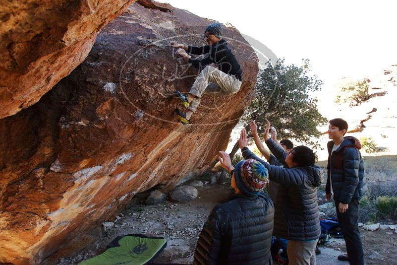 

Filename: SRM_20200118_1150030.jpg
Aperture: f/5.6
Shutter Speed: 1/250
Body: Canon EOS-1D Mark II
Lens: Canon EF 16-35mm f/2.8 L