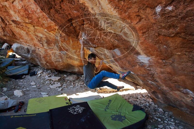 

Filename: SRM_20200118_1156500.jpg
Aperture: f/5.6
Shutter Speed: 1/250
Body: Canon EOS-1D Mark II
Lens: Canon EF 16-35mm f/2.8 L