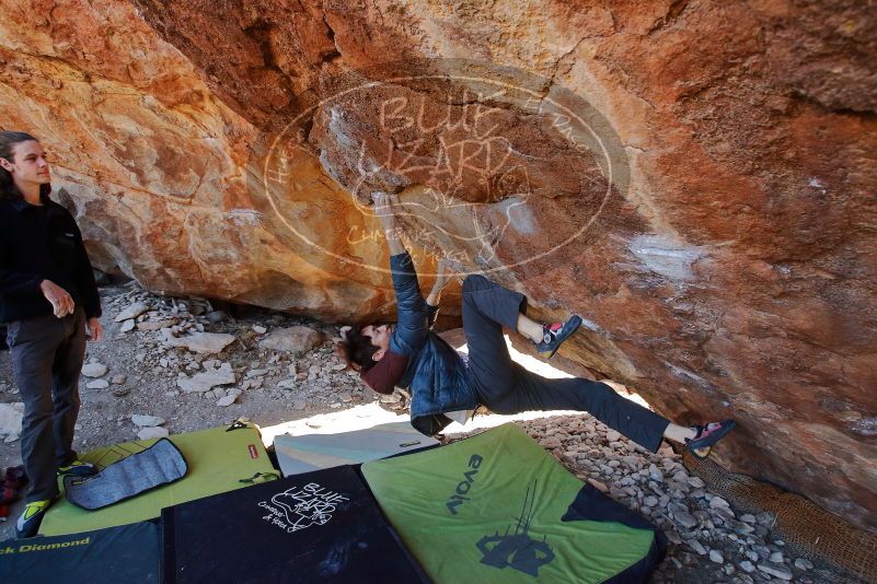 

Filename: SRM_20200118_1202160.jpg
Aperture: f/4.5
Shutter Speed: 1/250
Body: Canon EOS-1D Mark II
Lens: Canon EF 16-35mm f/2.8 L