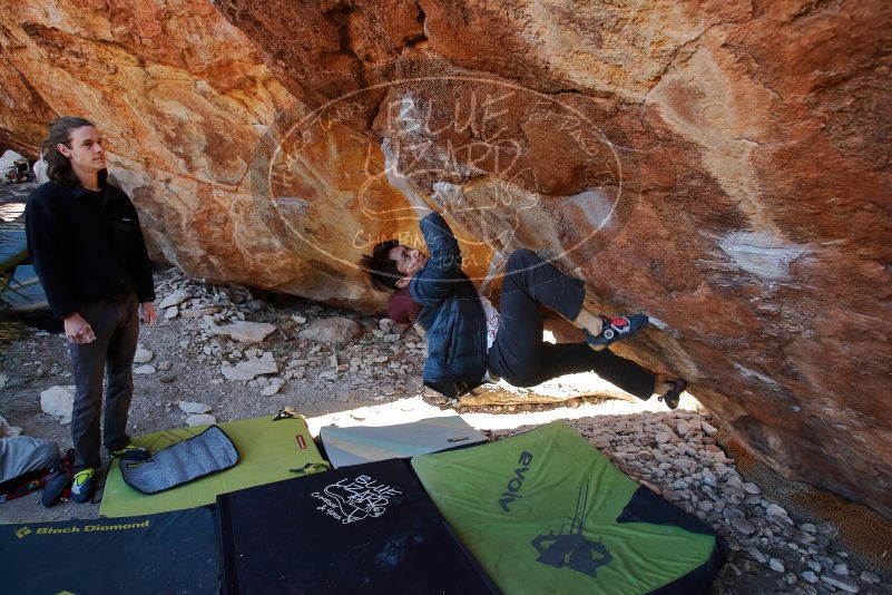 

Filename: SRM_20200118_1202210.jpg
Aperture: f/5.0
Shutter Speed: 1/250
Body: Canon EOS-1D Mark II
Lens: Canon EF 16-35mm f/2.8 L