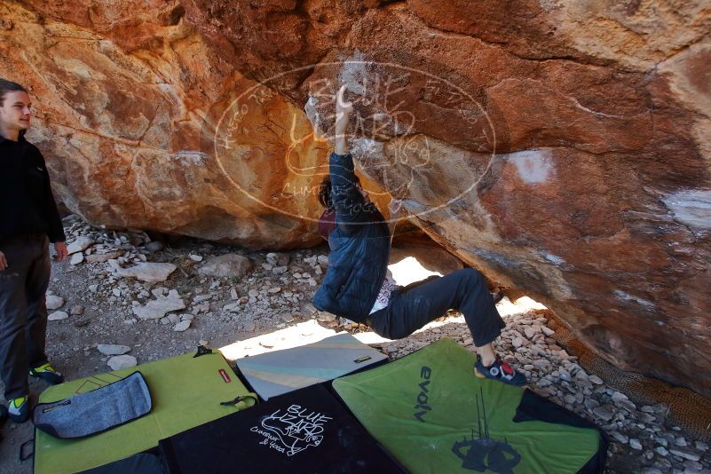 

Filename: SRM_20200118_1206190.jpg
Aperture: f/5.0
Shutter Speed: 1/250
Body: Canon EOS-1D Mark II
Lens: Canon EF 16-35mm f/2.8 L