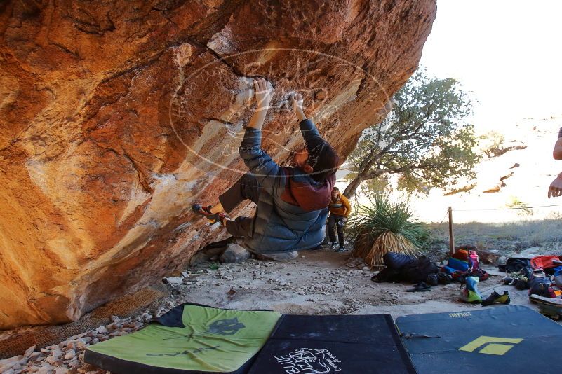 

Filename: SRM_20200118_1208110.jpg
Aperture: f/4.5
Shutter Speed: 1/250
Body: Canon EOS-1D Mark II
Lens: Canon EF 16-35mm f/2.8 L