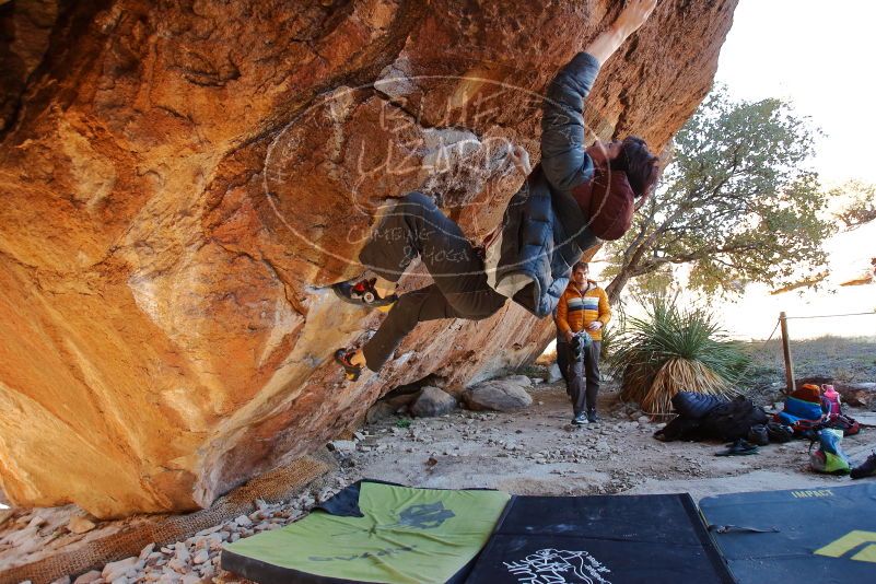 

Filename: SRM_20200118_1208150.jpg
Aperture: f/4.0
Shutter Speed: 1/250
Body: Canon EOS-1D Mark II
Lens: Canon EF 16-35mm f/2.8 L