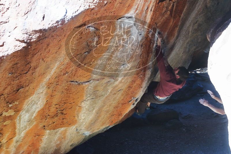 

Filename: SRM_20200118_1257150.jpg
Aperture: f/6.3
Shutter Speed: 1/250
Body: Canon EOS-1D Mark II
Lens: Canon EF 50mm f/1.8 II